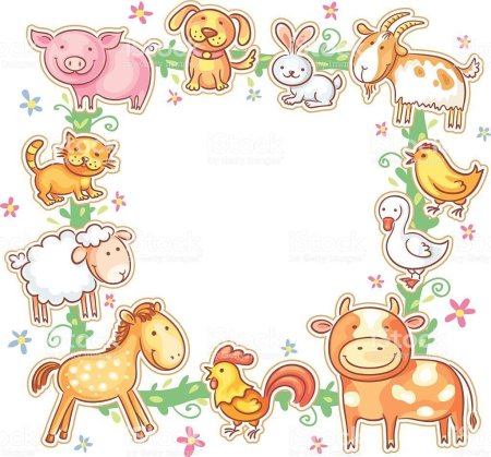 Рамка домашние животные