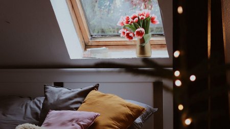 Тюльпаны на подоконнике