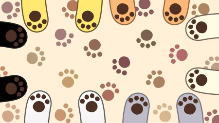 Фон кошачьи лапки