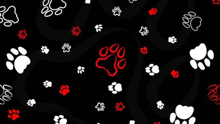 Лапки на черном фоне