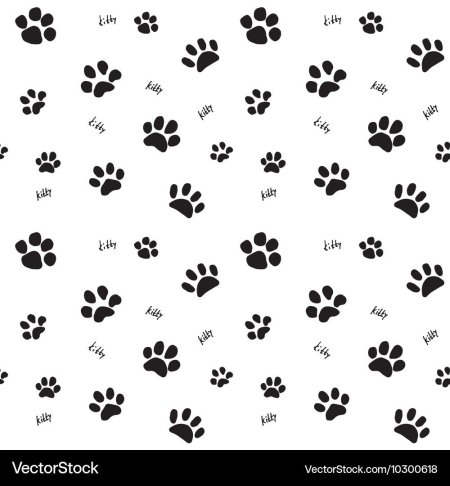 Лапки на белом фоне