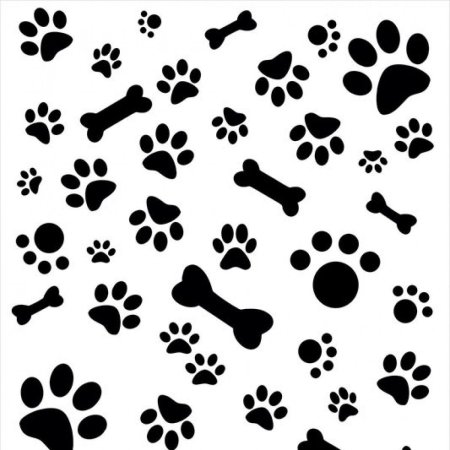 Лапки косточки вектор