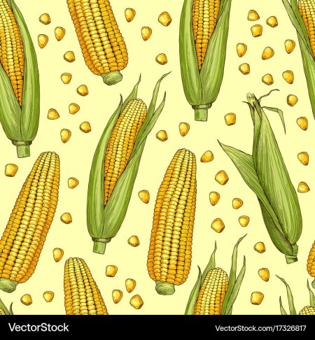 Кукуруза мультяшная