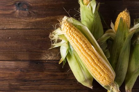 Кукурузные початки на деревянной