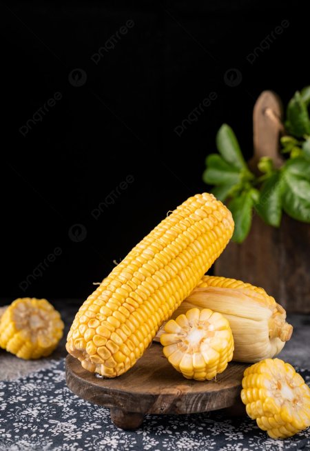 Кукуруза в початках