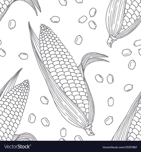 Кукуруза рисунок