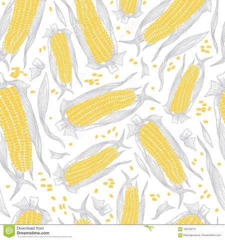 Кукуруза текстура