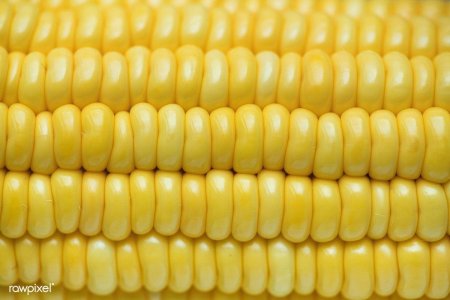 Вареная кукуруза