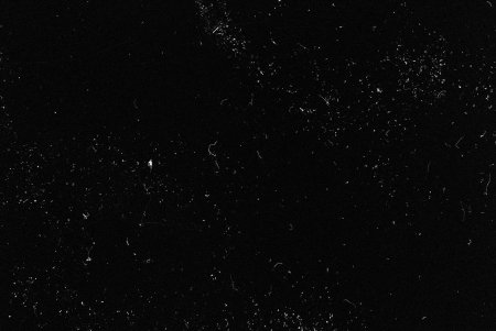 Пыль и царапины