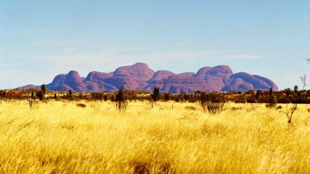 Австралия пампасы