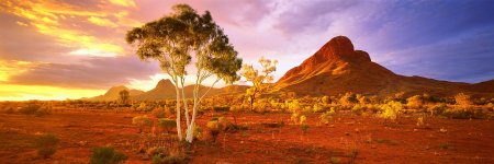 Буш Австралия