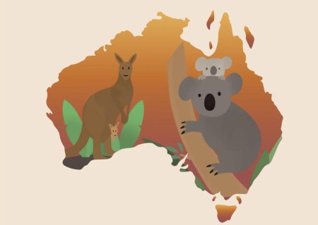 Материк Австралия кенгуру