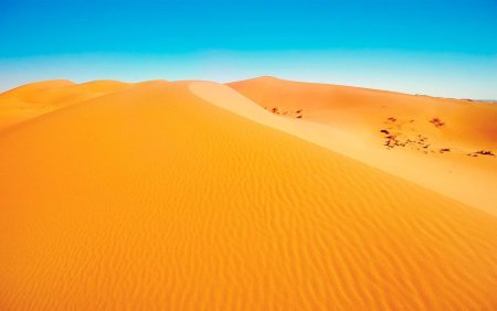 Пустыня эрг