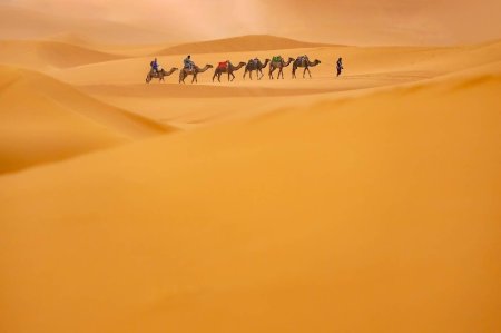 Пустыня Караван Барханы