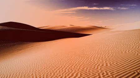 Пустыня ши Вонг