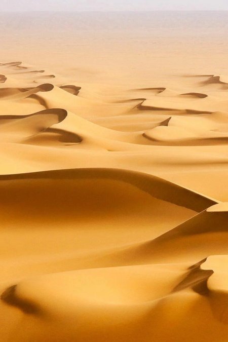 Барханы в пустыне