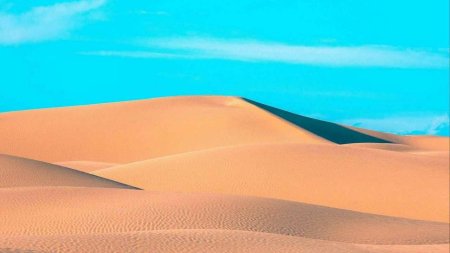 Пустыня Барханы Оазис