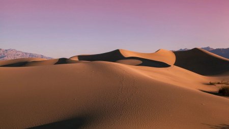 Песчаная Дюна