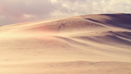 Дюны Барханы грядовые Пески