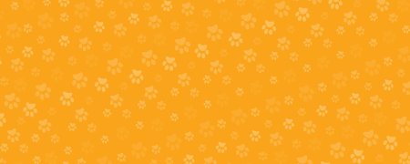 Желтый фон с лапками