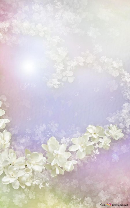 Нежный цветок