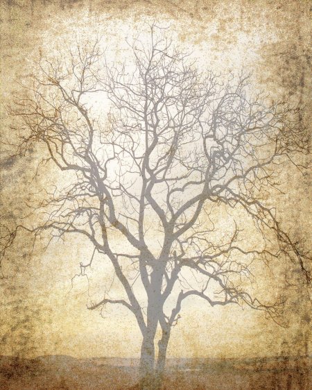 Винтажное дерево