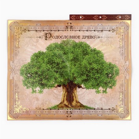 Родословная фотокнига "семейная летопись