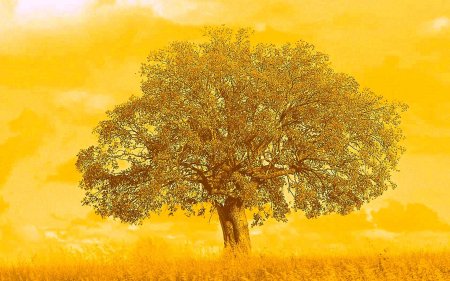 Фон для генеалогического дерева