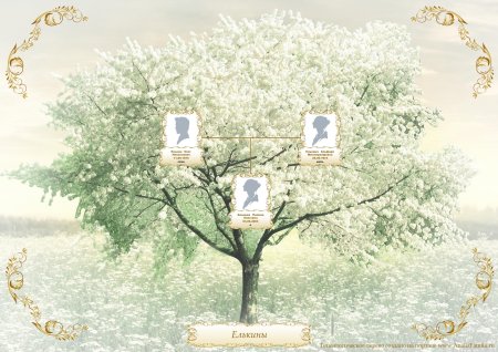 Генеалогия дерево