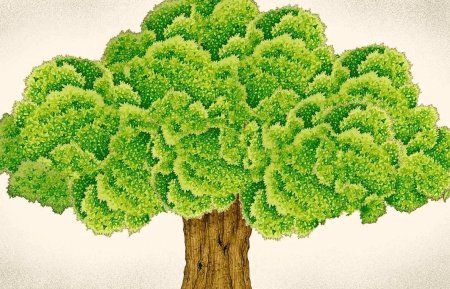 Дерево для генеалогического древа