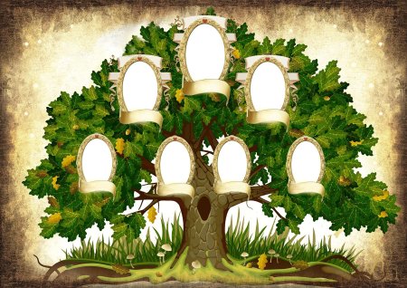 Генеологичне дерево