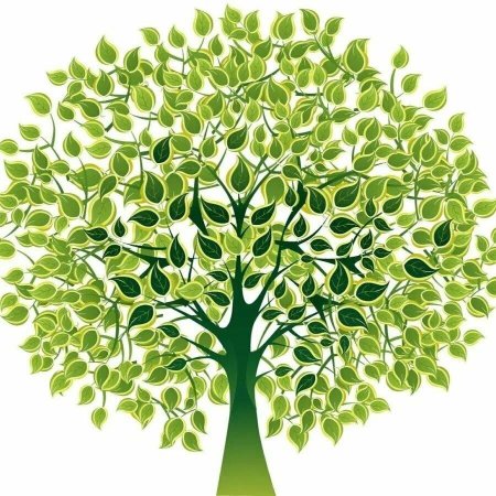 Древо Шежере