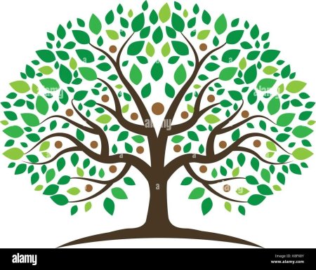 Шежере дерево