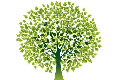Дерево зеленое