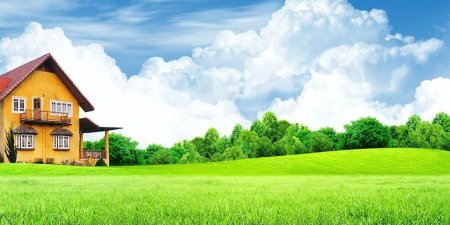 Недвижимость