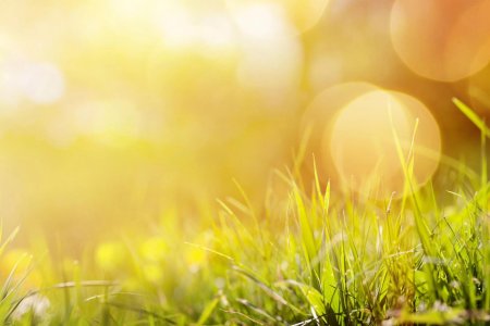 Солнечный фон