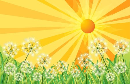 Фон солнышко