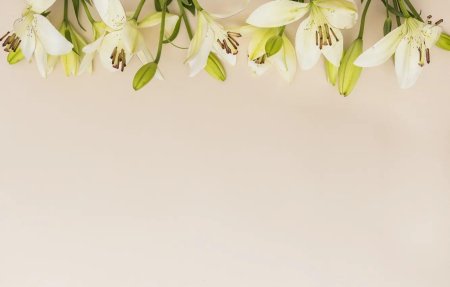 Лилии на светлом фоне