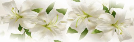 Фартук для кухни лилии