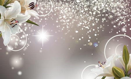 Красивый фон с лилиями