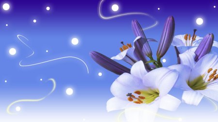 Обои на рабочий стол лилии