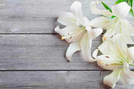 Лилии на деревянном фоне