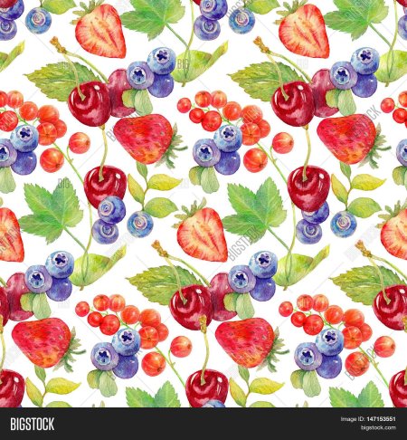 Ягоды акварелью
