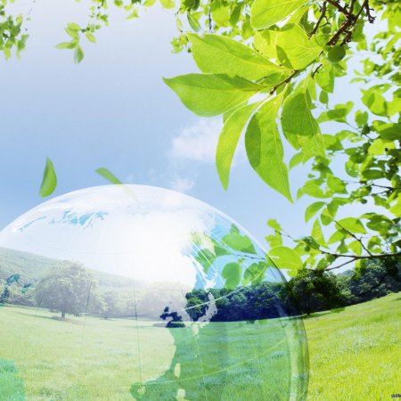 Фон экологии