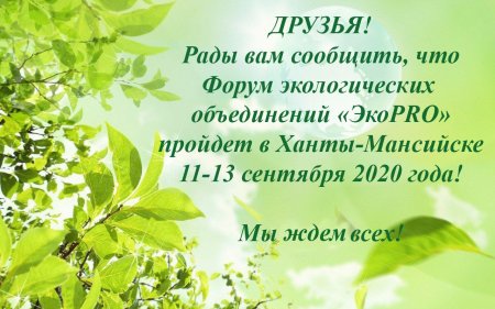 Волонтерские экологические проекты