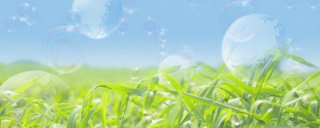 Фоны для презентации природа