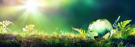 Охрана окружающей среды