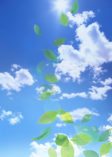 Фон для презентации природа