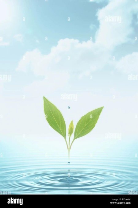 Фон для презентации экология