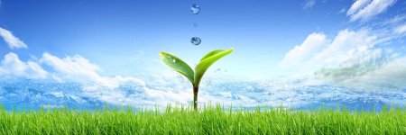 Фон для презентации о природе